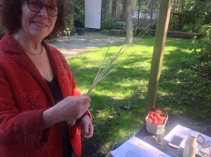 Slagroom: het experiment